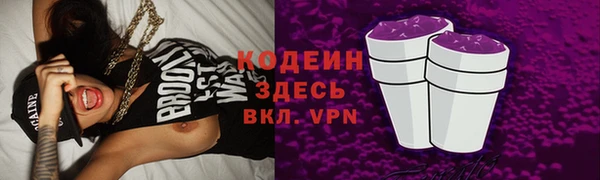 шишки Пересвет