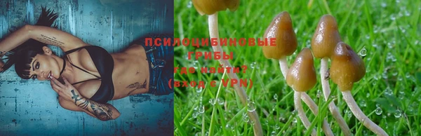 2c-b Алексин
