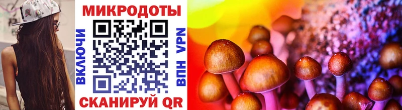 Псилоцибиновые грибы мицелий  где продают   Лобня 